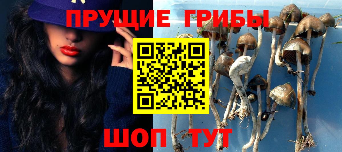 Псилоцибиновые грибы ЛСД Тихвин